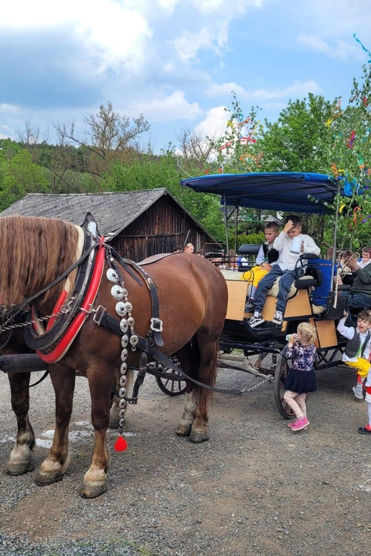 Karlštejn castle by horse carriage - Planning a full day around Karlštejn