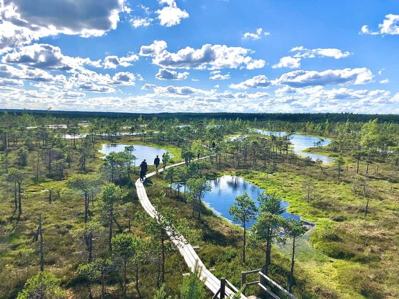 Kemeri N Park, Jurmala, Lake Melnezers & White Castle Hotel - Lake Melnezers and its unusual black water
