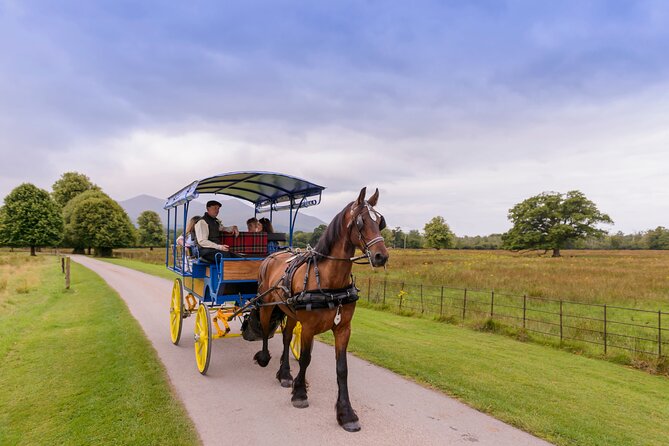 Killarney Jaunting Car Tour- Park to Castle - A gentle introduction to Killarney National Park