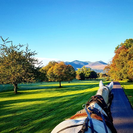 Killarney Jaunting Car Tour- Park to Castle - Ross Castle: a short stop with a fine view