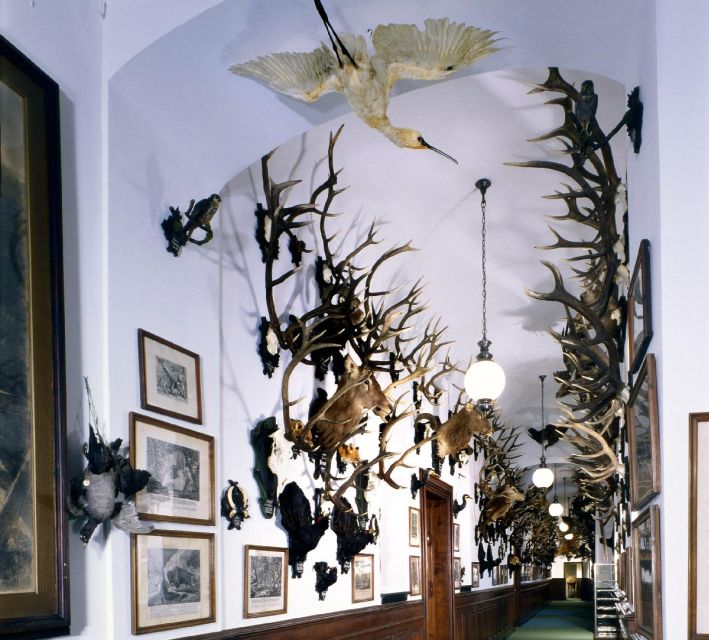 Konopiště: Chateau Tour from Prague - Who should book this Konopiště trip?
