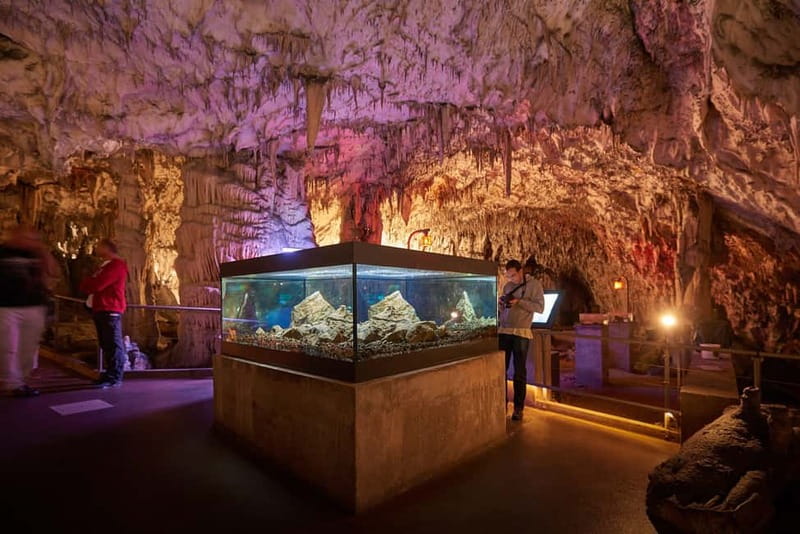 Koper/Trieste: Postojna Cave & Predjama Castle Tour & Ticket - The 30-minute pause at Postojna