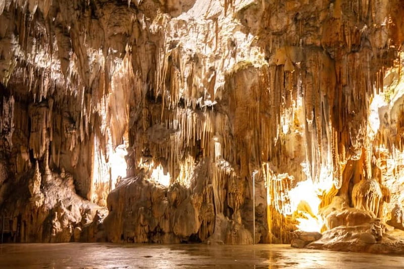 Koper/Trieste: Postojna Cave & Predjama Castle Tour & Ticket - Getting started from Koper, Trieste, Piran, or Portorož