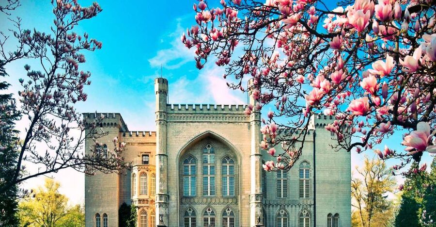 Kornik Castle and Rogalin Palace Half-Day Private Tour - Key points at a glance