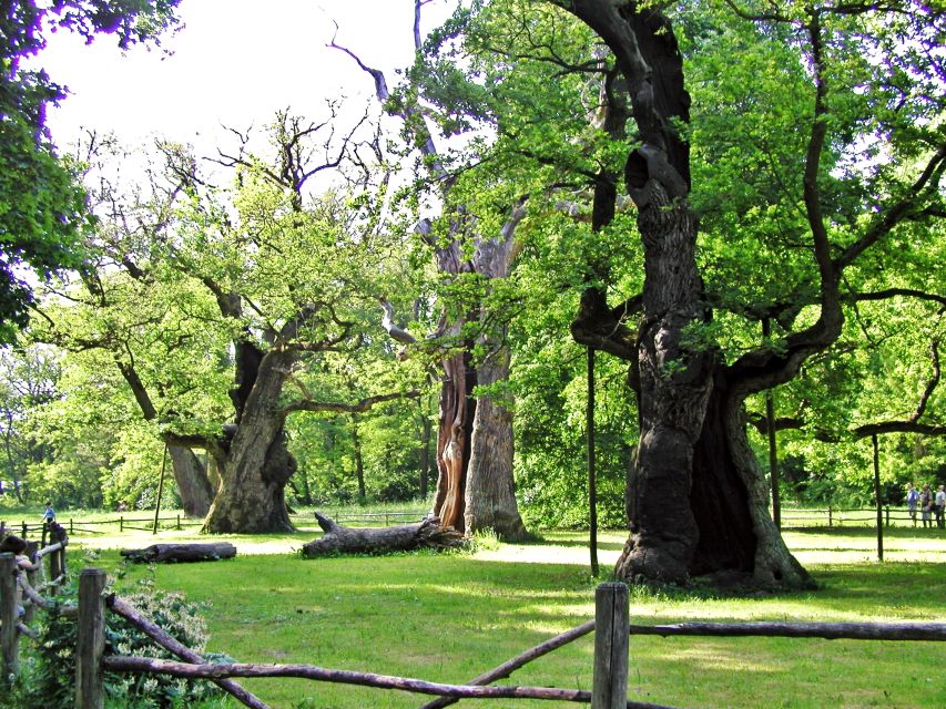 Kornik Castle and Rogalin Palace Half-Day Private Tour - Is $79 a fair price?