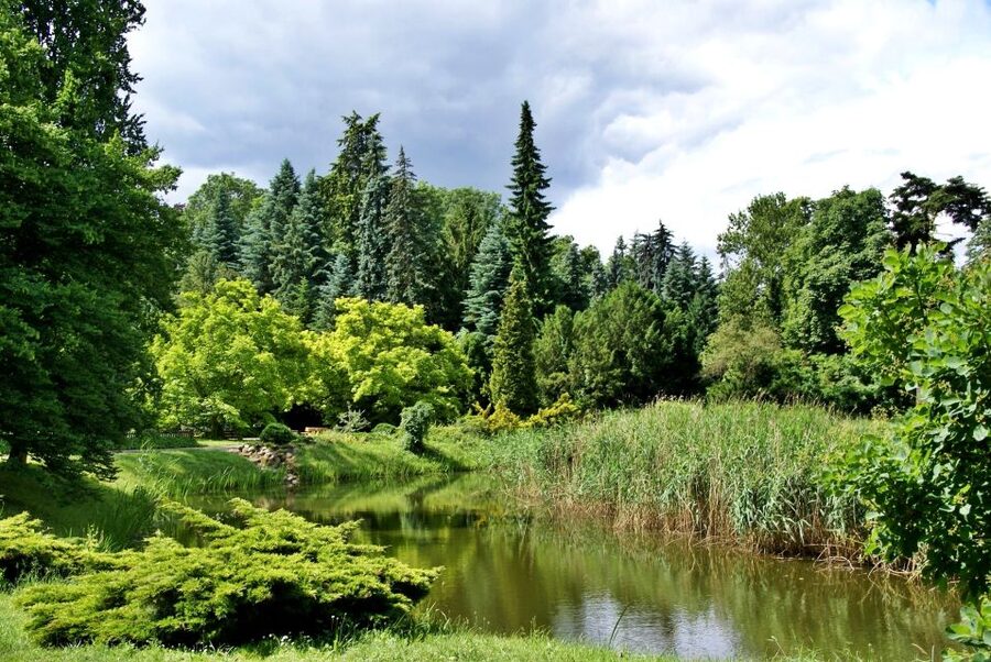 Kornik Castle and Rogalin Palace Half-Day Private Tour - Who should book this tour?