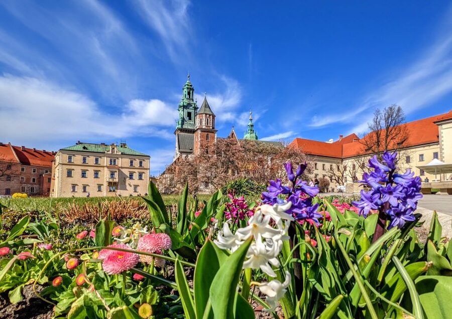 Kraków: Old Town & Wawel Castle Walking Tour in English - What the guiding style adds