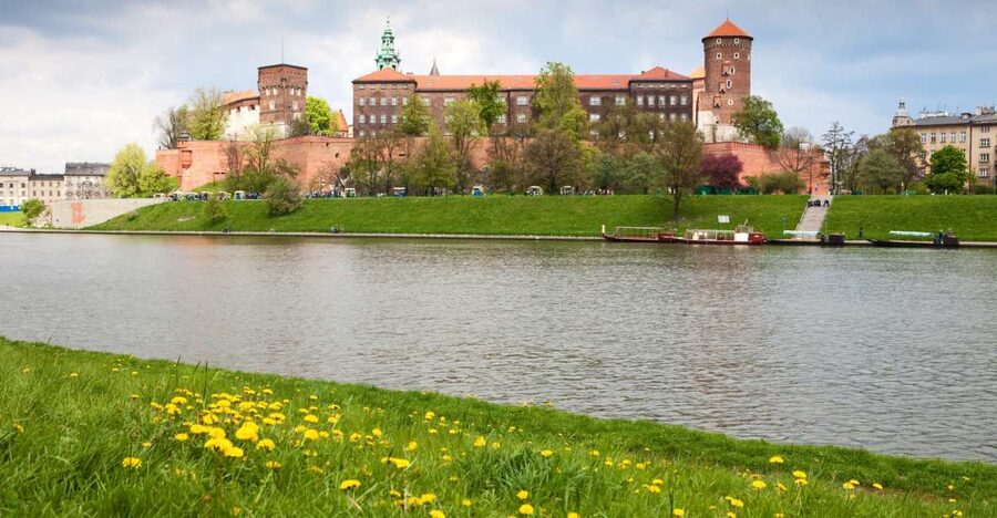 Krakow: Wawel Castle, Cathedral, Salt Mine, and Lunch - Who should book this full-day tour