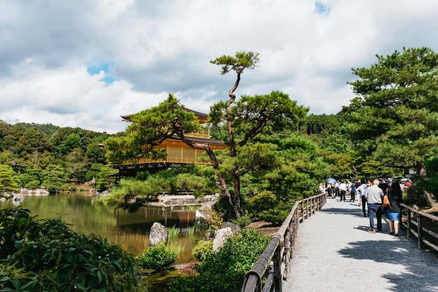 Kyoto: Nijo Castle, Kiyomizu & Fushimi Inari Guided Tour - Arashiyama Bamboo Grove before the crowds