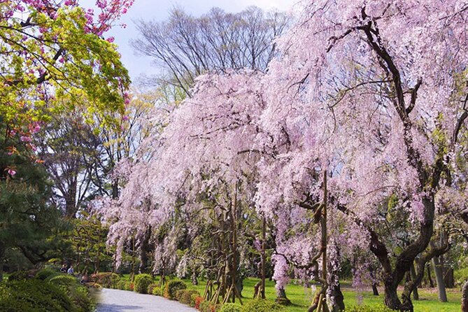Kyoto: Nijo Castle World Heritage Guided Tour with Admission - The history you will take away