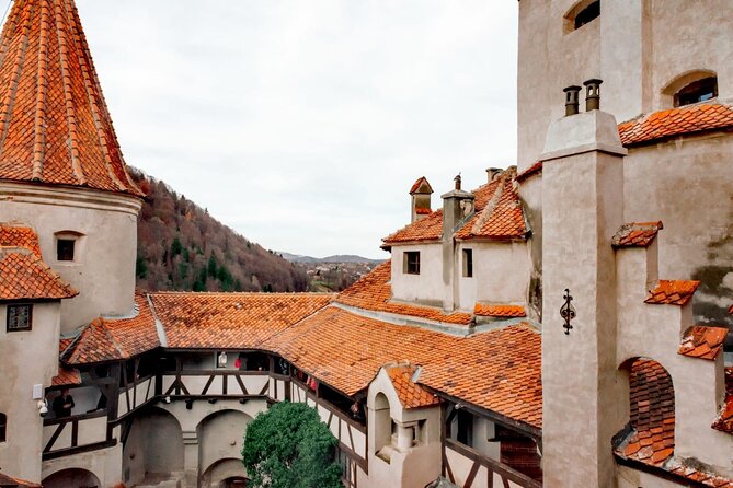 Legends&Wildlife Awaits: Dracula's Castle & Bear Sanctuary - Practical advice for making the day smoother