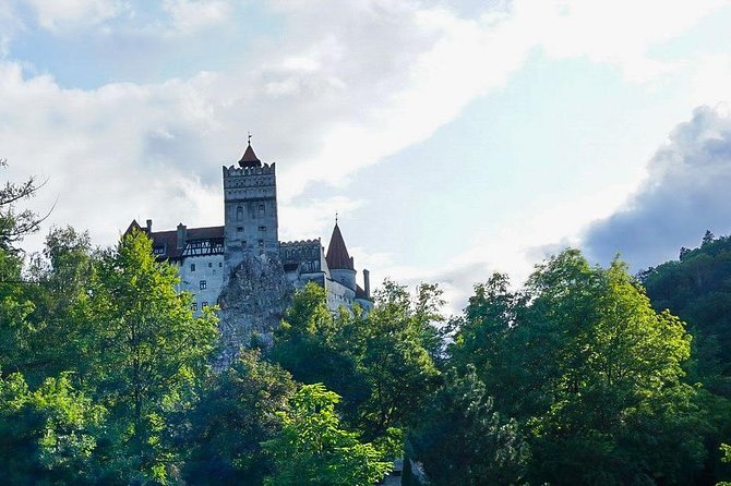 Libearty Bear Sanctuary and Dracula's Castle - Day Tour from Bucharest - Price, admissions, and overall value