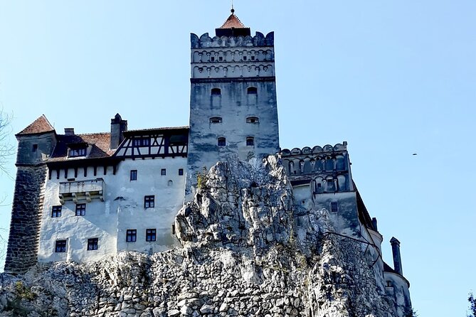 Libearty Bear Sanctuary and Dracula's Castle - Day Tour from Bucharest - Who should book this experience?