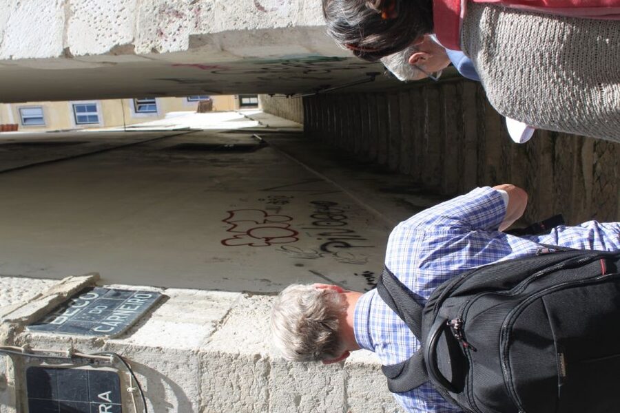 Lisbon: Alfama and São Jorge Castle Quarters Walking Tour - Who should take this walk