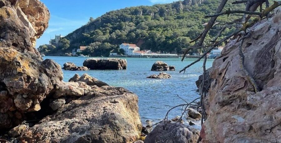 Lisbon: Arrábida & Sesimbra w/ Palmela Castle & Wine Tasting - A guided visit at José Maria da Fonseca
