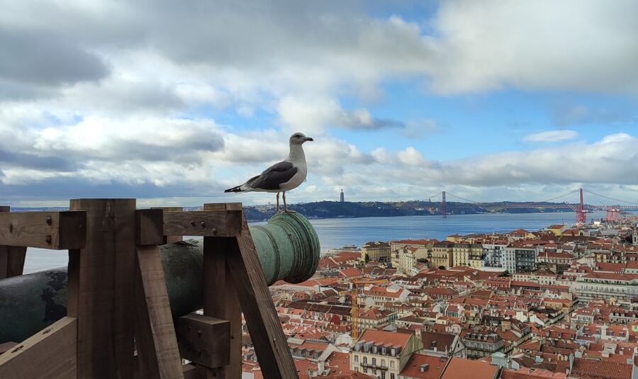 Lisbon: Saint George's Castle Entry Ticket and Guided Visit - Key points to know before booking