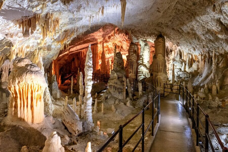Ljubljana: Postojna Cave & Predjama Castle Tickets and Tour - Postojna Cave and the human fish