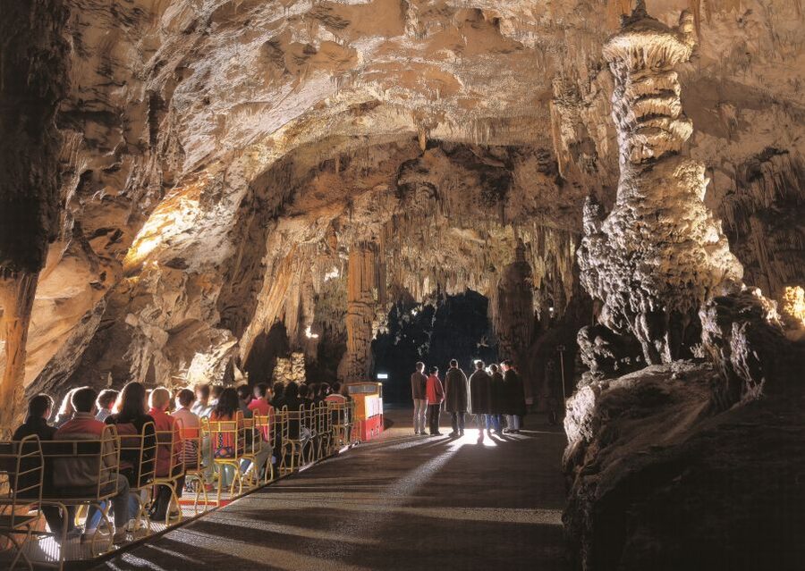 Ljubljana: Postojna Cave & Predjama Castle Tickets and Tour - Is $115 a fair price?