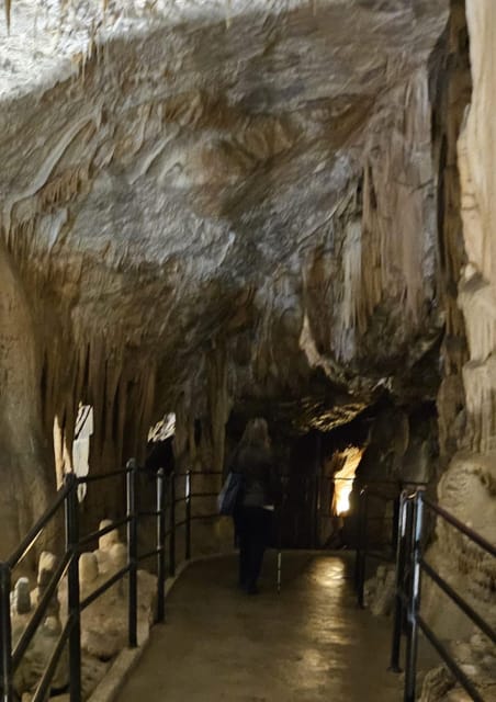 Ljubljana to Postojna Cave,Predjama Castle and Postojna park - Practical verdict: book it or skip it?