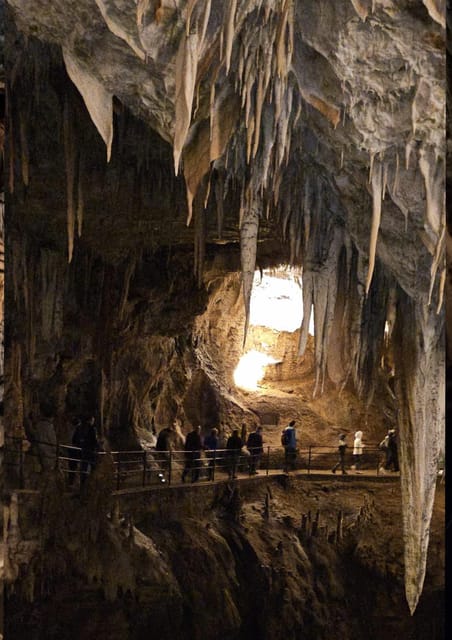 Ljubljana to Postojna Cave,Predjama Castle and Postojna park - Guide quality and the small review record