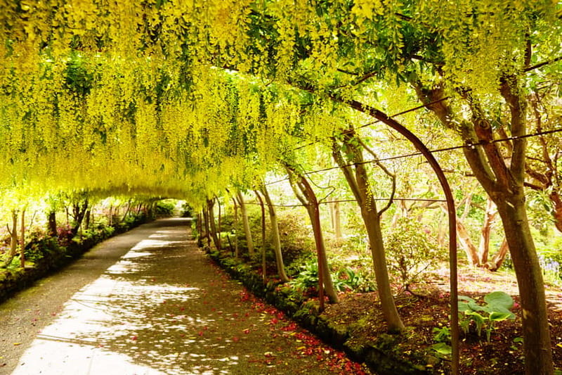 Llandudno: Snowdonia Bodnant Gardens & Castles Private Tour - Key reasons to consider this North Wales day tour