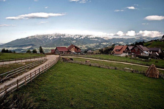 Local experience from Brasov - Transylvanian villages and Bran Castle - Why this day trip works better than a castle-only visit