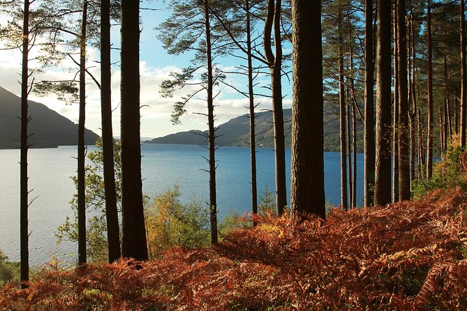 Loch Lomond, Kelpies & Stirling Castle Tour Including Admission - Stirling Castle: the main event