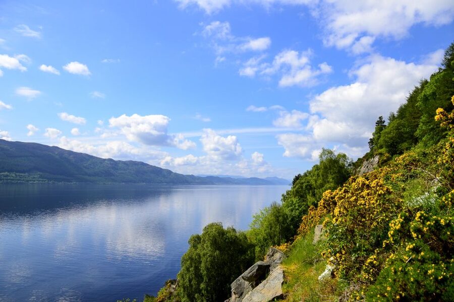 Loch Ness: Urquhart Castle Round-Trip Cruise - Coffee, snacks, Wi-Fi, and practical comfort