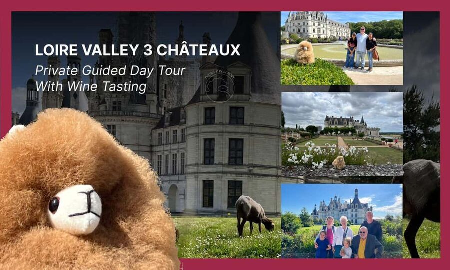 Loire Castles Day Trip & Wine Tasting - The real shape of this 12-hour Loire Valley day