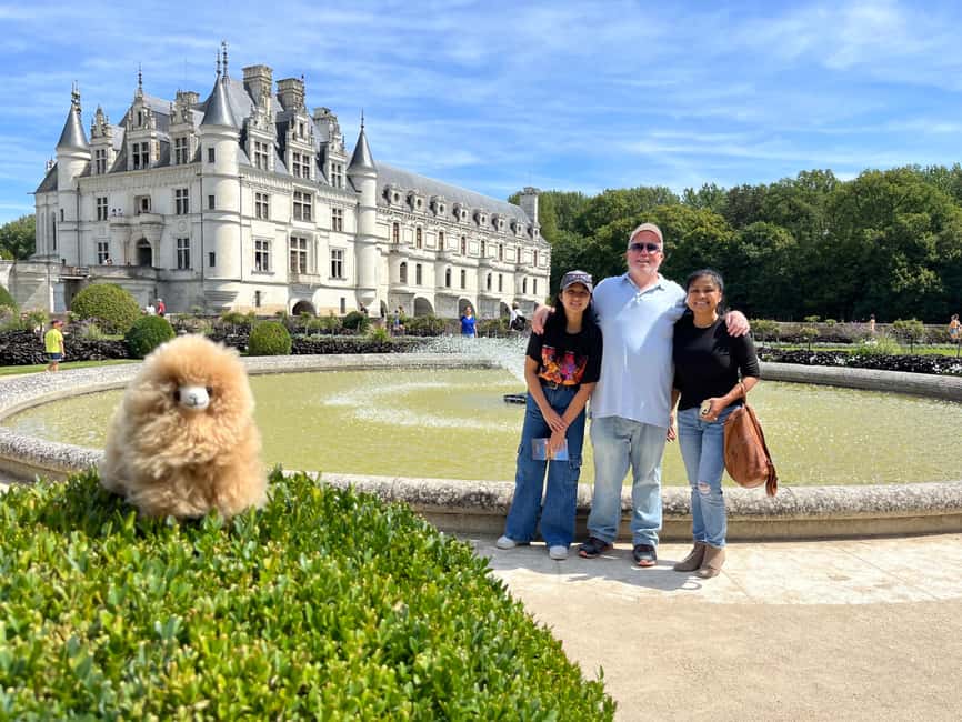 Loire Castles Day Trip & Wine Tasting - What the private vehicle adds