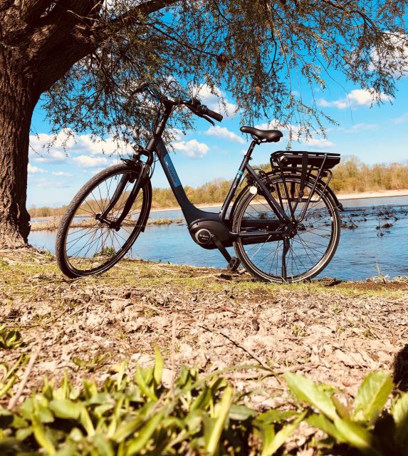 Loire castles with electric bicycle - Chambord: the grandest architectural target