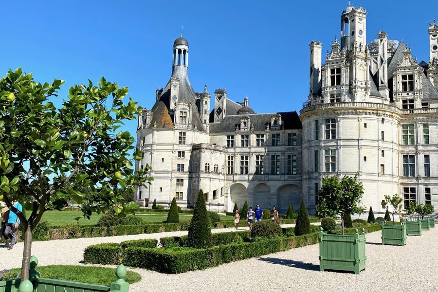 Loire Valley Castles: Chenonceau, Amboise & Da Vinci Trip - Walking, food, and practical limits