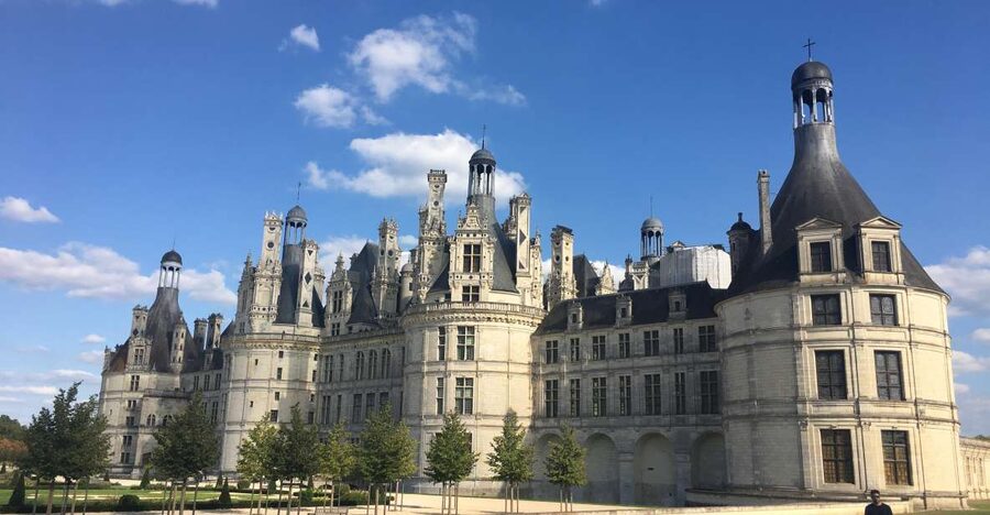 Loire Valley Castles: VIP Private Tour from Paris 3 Castles - Amboise: royal rooms and Leonardo da Vinci