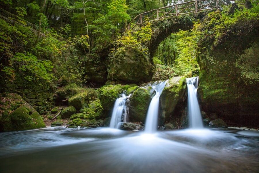 Luxembourg: Nature, History and Castles Full-Day Tour - Key points at a glance