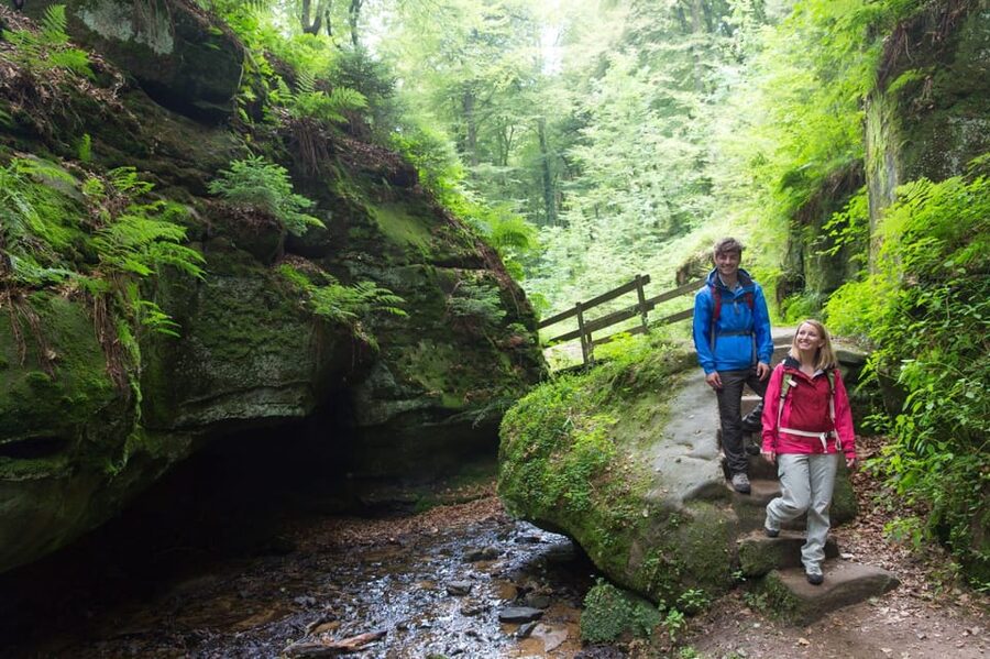 Luxembourg: Nature, History and Castles Full-Day Tour - Why this day trip works so well