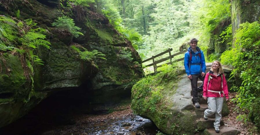 Luxembourg: Nature, History and Castles Full-Day Tour - The ride from Luxembourg City
