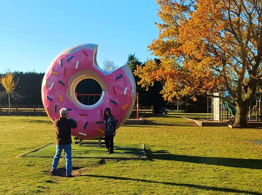 Lyttelton: Shore Excursion, Castle Hill & Inland Canterbury - Springfield and the story behind the giant donut