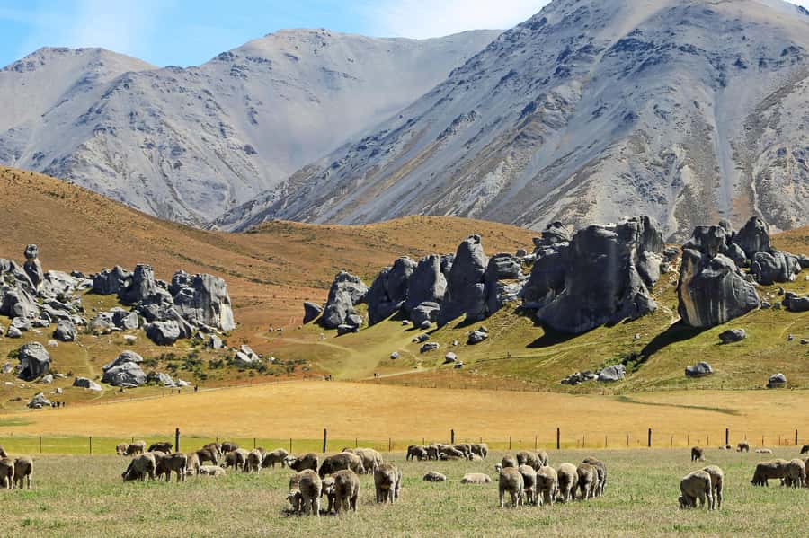 Lyttelton: Shore Excursion, Castle Hill & Inland Canterbury - Porters Pass and Lake Lyndon change the mood