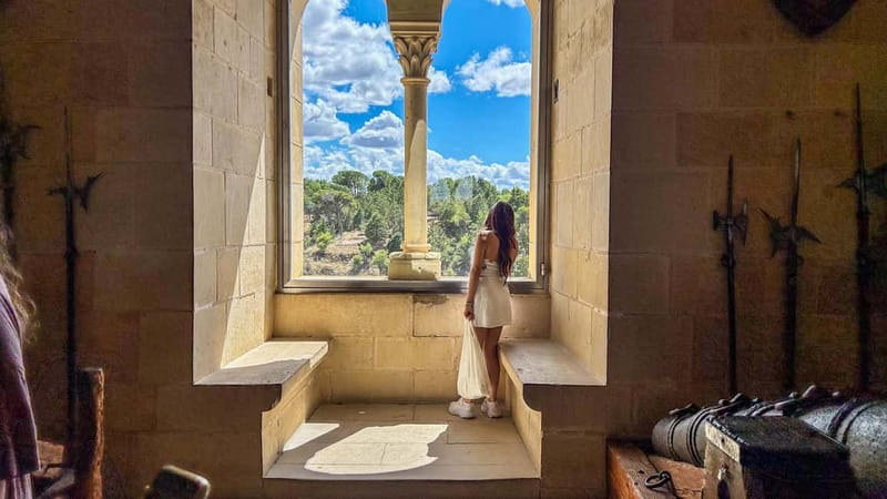 Madrid: Segovia & Ávila Full Day with Alcázar & Wall Tickets - The guide can make or break the day