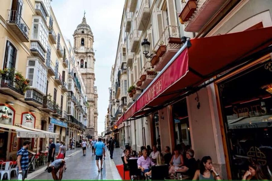 Malaga Walking Tour with Gibralfaro Castle & Alcazaba Visits - The harbor walk adds modern Málaga