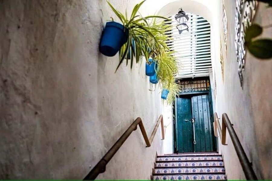 Malaga Walking Tour with Gibralfaro Castle & Alcazaba Visits - A private guide changes the pace