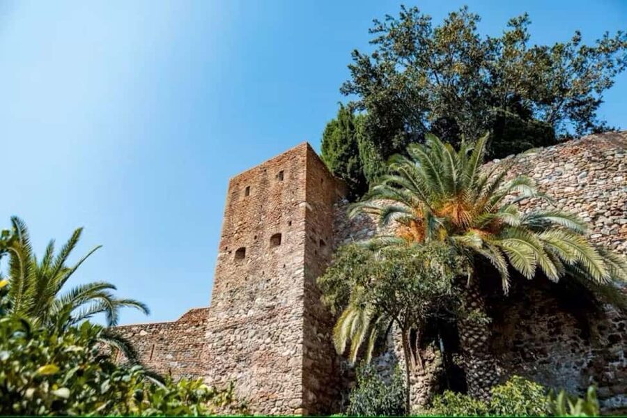 Malaga Walking Tour with Gibralfaro Castle & Alcazaba Visits - Should you book the Málaga castle and Alcazaba walk?