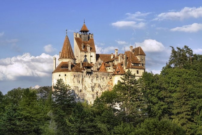 Meet the Bears & Visit Dracula Castle Day Tour from Bucharest - Why the bear sanctuary is the real heart of the trip