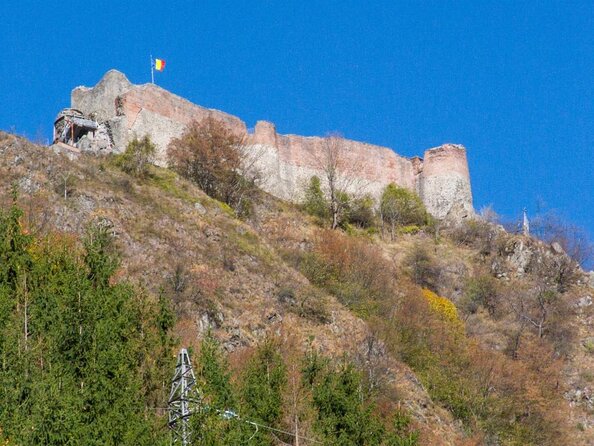 Meet Wild Brown Bears on the Roads to Real Dracula's Fortress - The trip at a glance