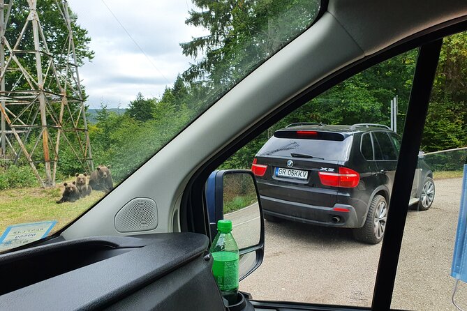 Meet Wild Brown Bears on the Roads to Real Dracula's Fortress - Booking details worth checking first