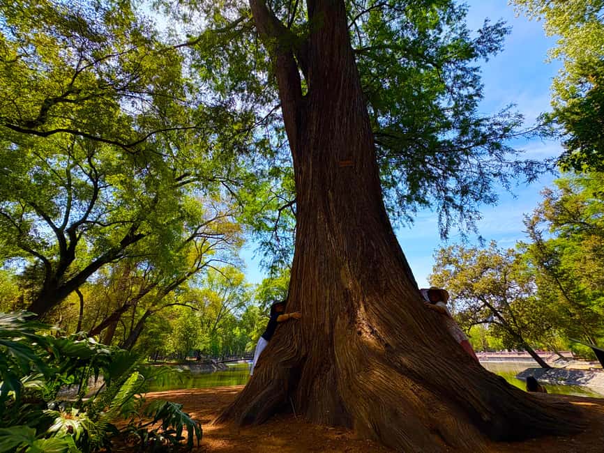 Mexico City: Chapultepec Castle and Forest Guided Tour - The Audiorama offers a 20-minute pause