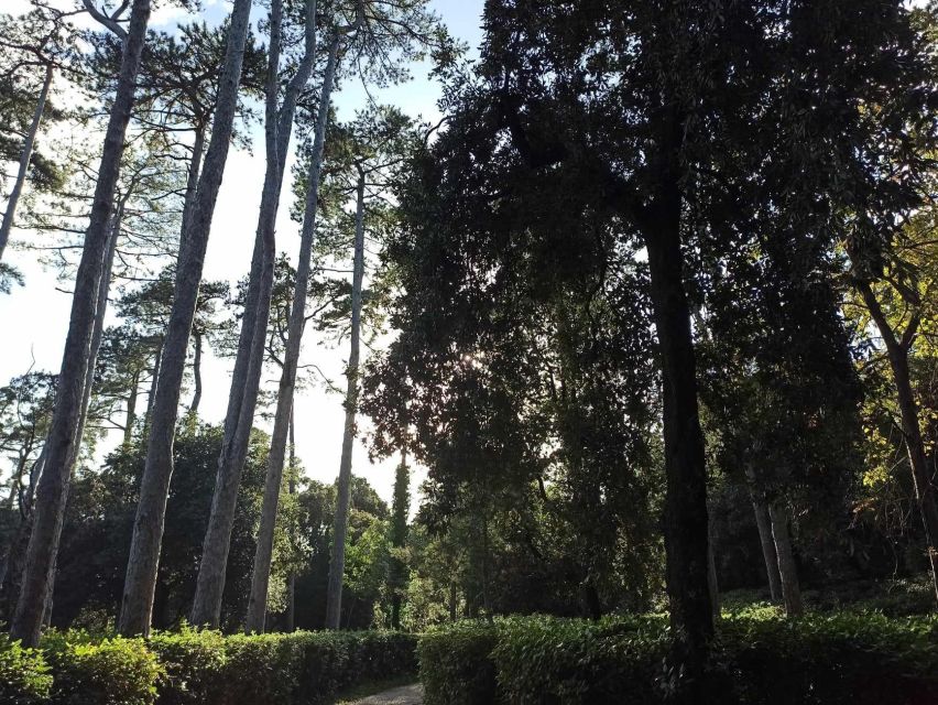 Miramare: The most romantic, beautiful and sad castle. - The timing and the route back to Grignano