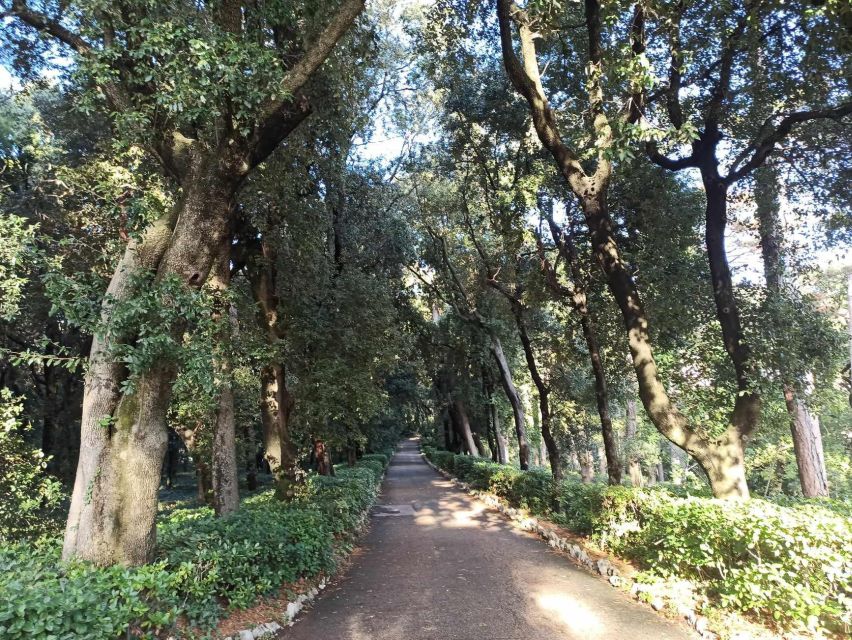 Miramare: The most romantic, beautiful and sad castle. - Meeting at Grignano and taking Bus 6