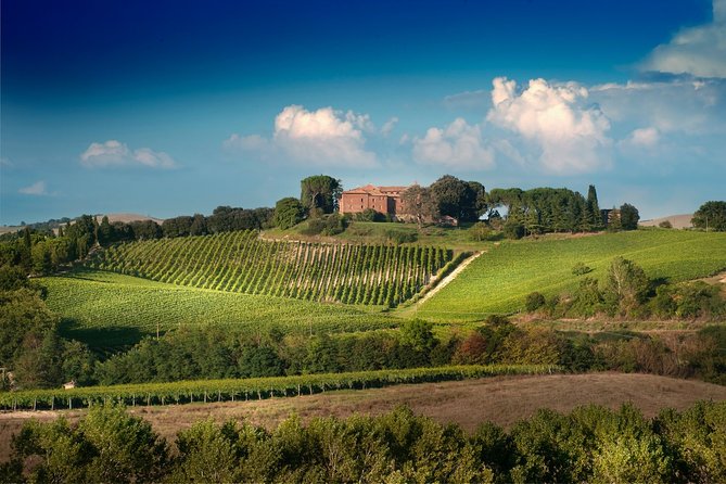 Montalcino: Brunello Wine Tasting & Lunch in a Tuscan Castle - Inside a castle dating to 1441