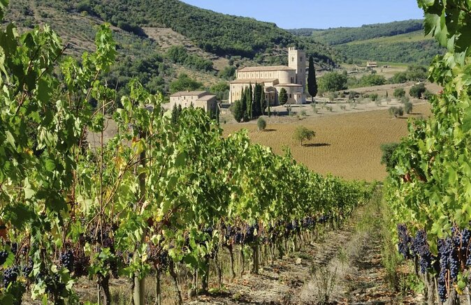 Montalcino: Castle and Vineyards Tour with Tasting - Key points to know before you go